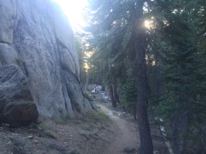 Walking right along cliff and forest.  