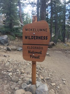 Carson Pass is the edge of the Mokelumne Wilderness