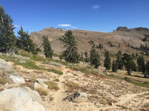 Squaw Valley Ski Resort area