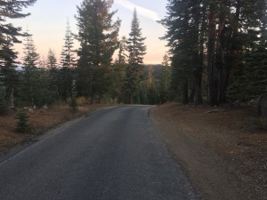 Sometimes the trail is very easy to follow :).  This is National Forest Road 93 and is part of the PCT