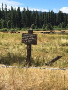 We birded here on Saturday. No new birds but a good time. Lots of places, including a mountain are named after this ranch