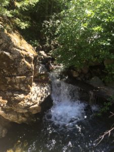 Just a nice spot along the trail. Little waterfall into a little pool. Tempting.