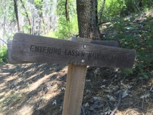 The Lassen National Forest. Have not heard good things about this section