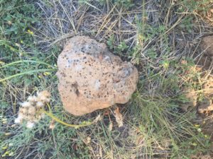 Starting to move into different area? First sighting of pumice rocks