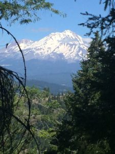 Mt. Shasta